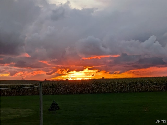 view of yard at dusk