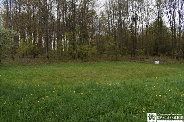 Earl Seaton Rd, Napoli, NY 14772 - photo 12
