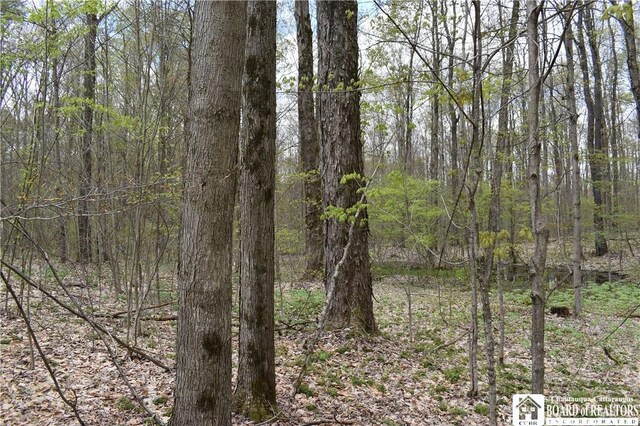 Earl Seaton Rd, Napoli, NY 14772 - photo 13