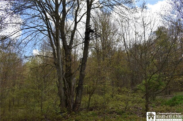 Earl Seaton Rd, Napoli, NY 14772 - photo 14
