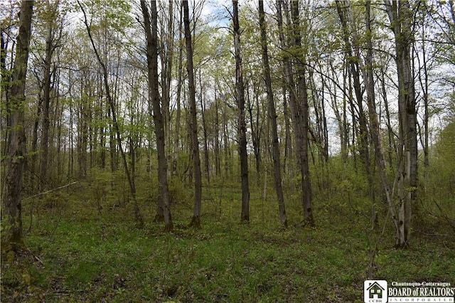 Earl Seaton Rd, Napoli, NY 14772 - photo 15