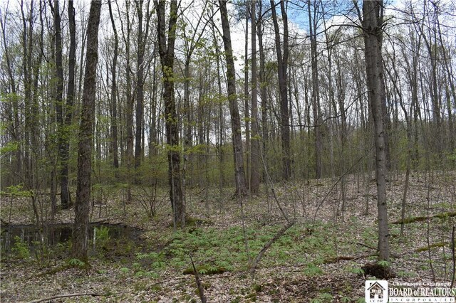 Earl Seaton Rd, Napoli, NY 14772 - photo 16