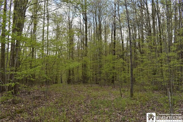 Earl Seaton Rd, Napoli, NY 14772 - photo 17