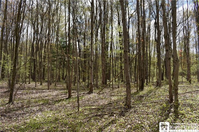 Earl Seaton Rd, Napoli, NY 14772 - photo 18
