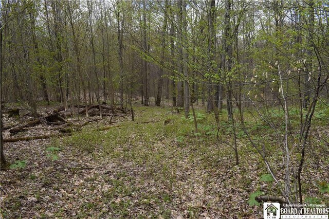 Earl Seaton Rd, Napoli, NY 14772 - photo 20
