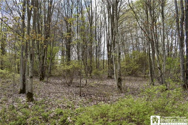 Earl Seaton Rd, Napoli, NY 14772 - photo 21