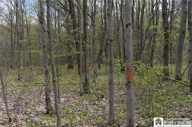 Earl Seaton Rd, Napoli, NY 14772 - photo 22
