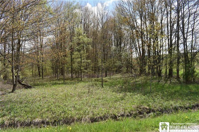 Earl Seaton Rd, Napoli, NY 14772 - photo 23