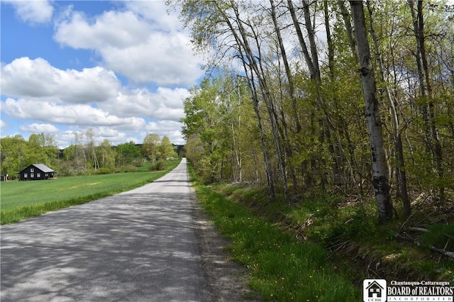 Earl Seaton Rd, Napoli, NY 14772 - photo 24
