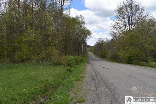 Earl Seaton Rd, Napoli, NY 14772 - photo 25