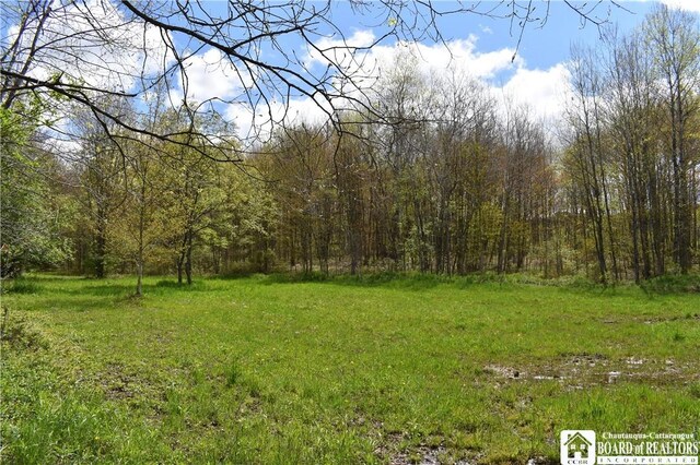 Earl Seaton Rd, Napoli, NY 14772 - photo 1