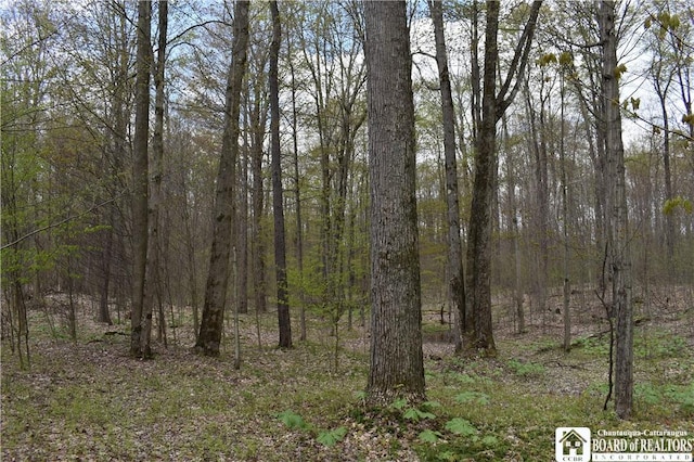 Earl Seaton Rd, Napoli, NY 14772 - photo 2