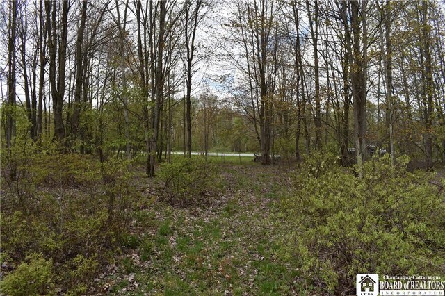 Earl Seaton Rd, Napoli, NY 14772 - photo 4