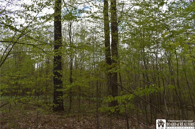 Earl Seaton Rd, Napoli, NY 14772 - photo 5