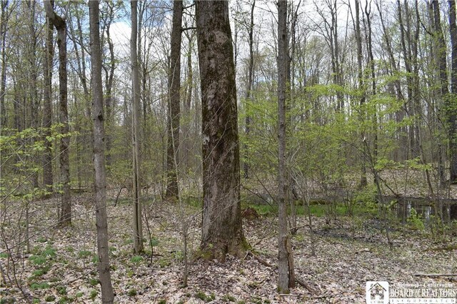Earl Seaton Rd, Napoli, NY 14772 - photo 6