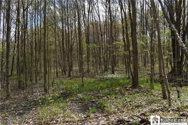Earl Seaton Rd, Napoli, NY 14772 - photo 7