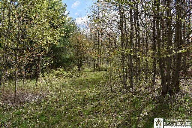 Earl Seaton Rd, Napoli, NY 14772 - photo 8