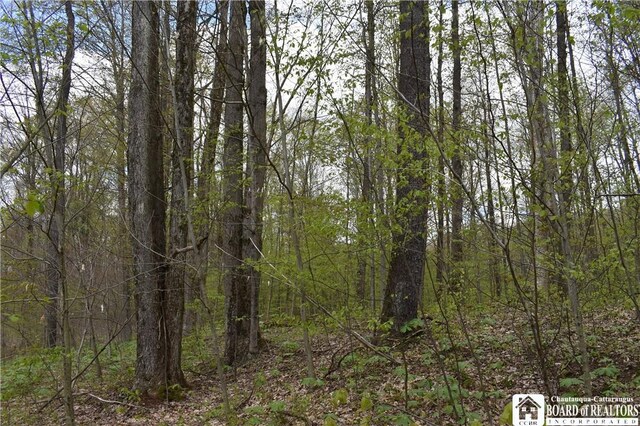 Earl Seaton Rd, Napoli, NY 14772 - photo 9