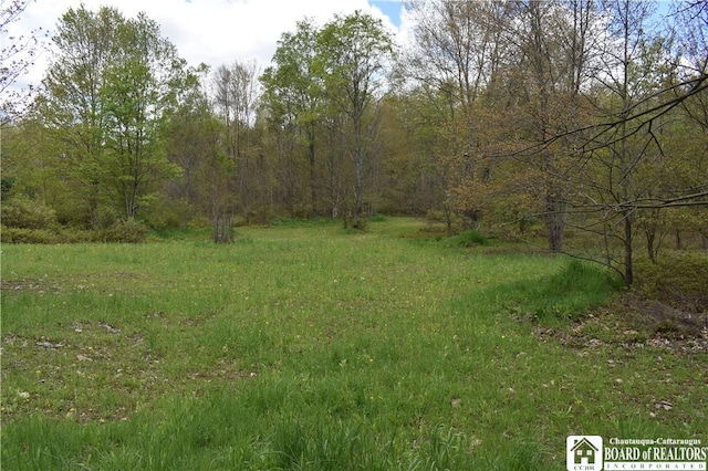Earl Seaton Rd, Napoli, NY 14772 - photo 10