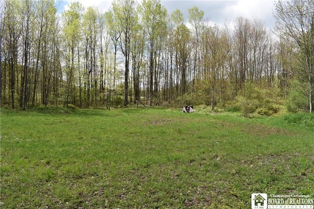 Earl Seaton Rd, Napoli, NY 14772 - photo 11