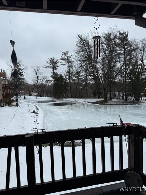 view of snowy yard