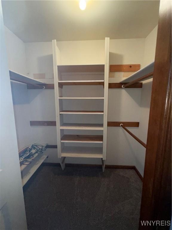 spacious closet with carpet