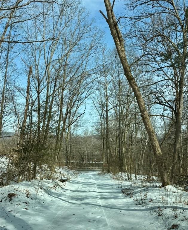 view of snow covered land