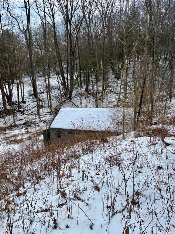 view of snowy yard