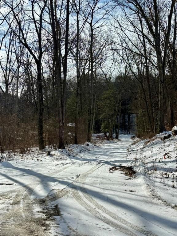 snowy yard featuring a forest view