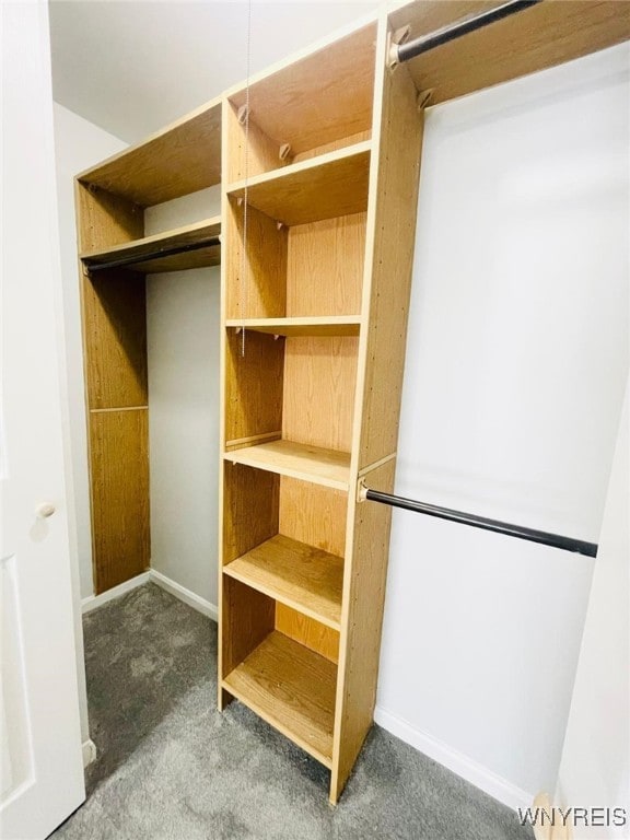 walk in closet with carpet