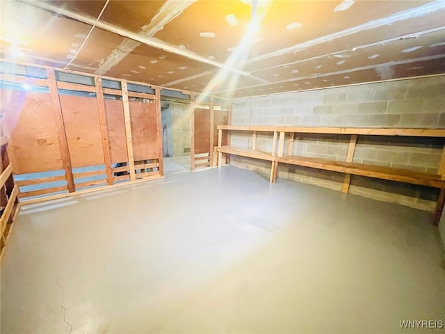 view of unfinished basement