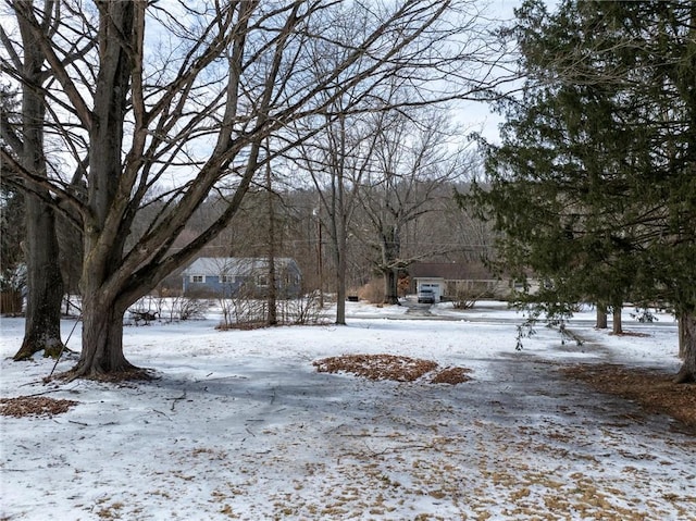 view of yard layered in snow