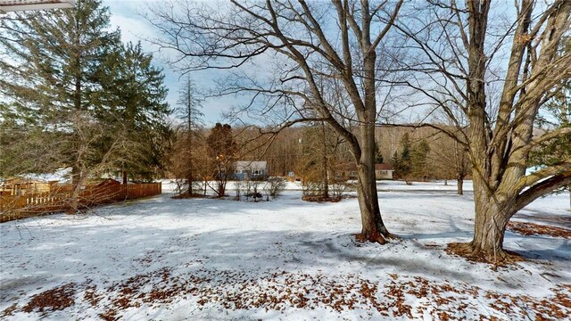 view of snowy yard