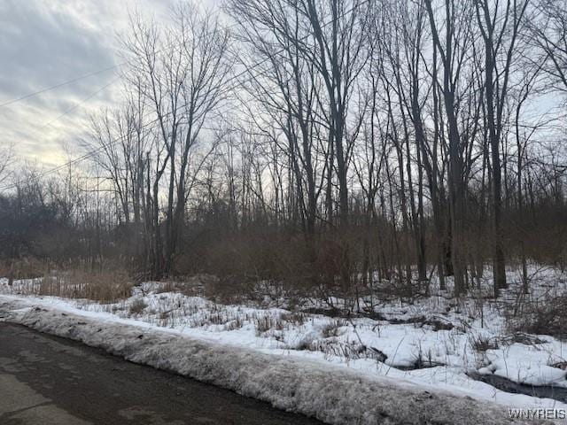 N Gravel Rd, Ridgeway NY, 14103 land for sale