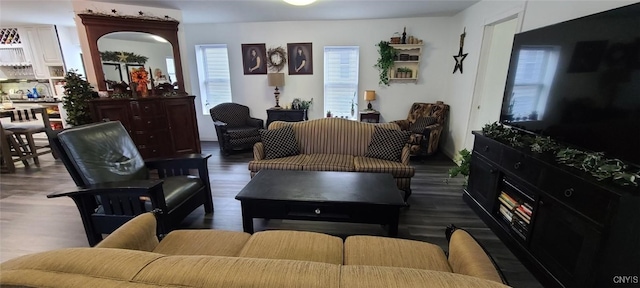 living area featuring dark wood finished floors