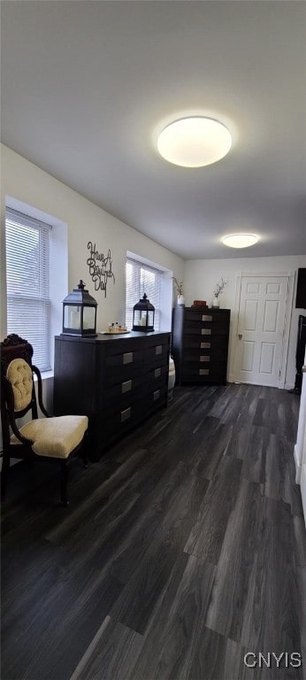 interior space featuring dark wood-style flooring