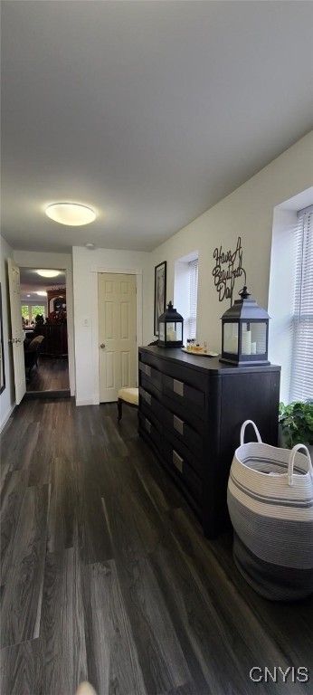 interior space featuring a healthy amount of sunlight and dark wood-style flooring