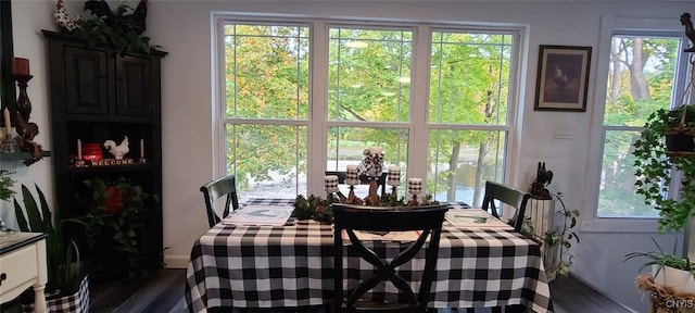 dining space with dark wood-type flooring and a wealth of natural light