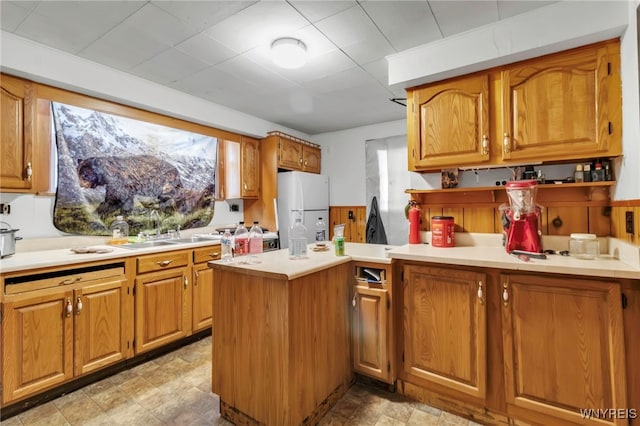 kitchen featuring a healthy amount of sunlight, light countertops, a sink, and freestanding refrigerator