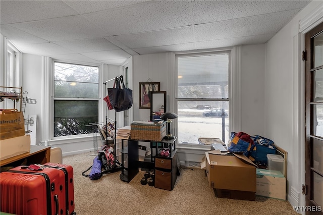 interior space with a drop ceiling and carpet flooring