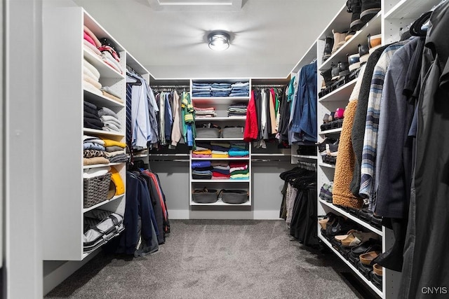 walk in closet with carpet floors