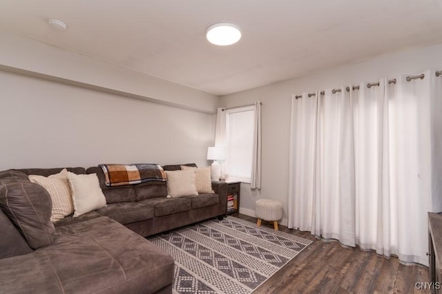 living room featuring wood finished floors