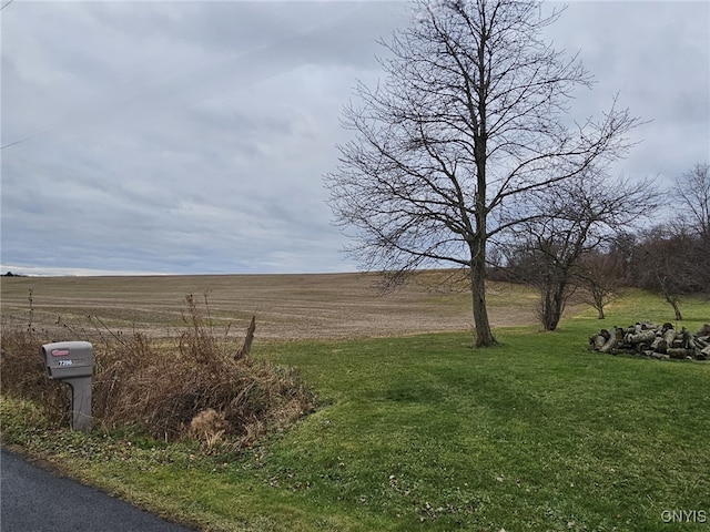 view of yard with a rural view