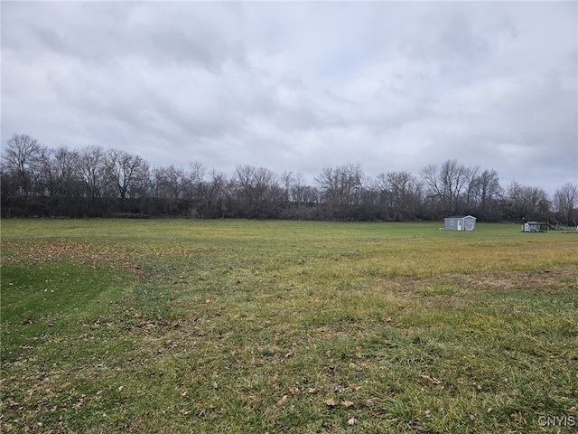 view of yard with an outdoor structure and a storage shed