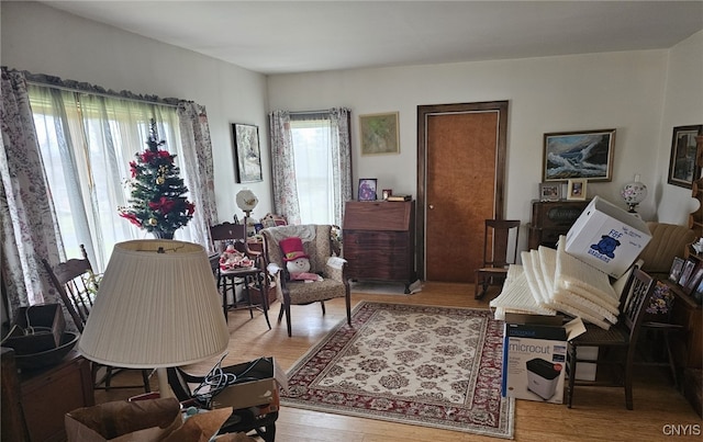 living room with light wood-type flooring