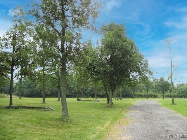 5129 Kraus Ln, Clarence, NY 14031 - photo 5