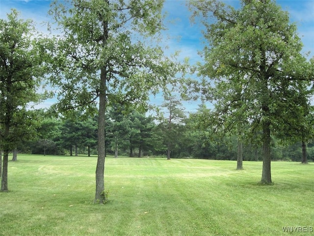 5129 Kraus Ln, Clarence, NY 14031 - photo 6