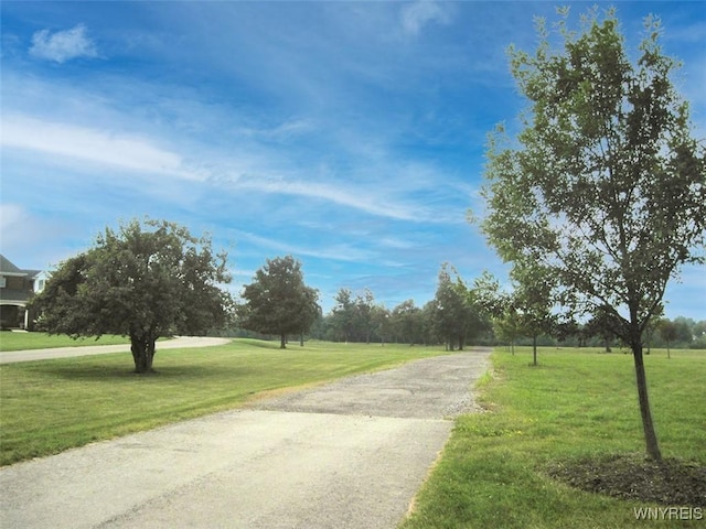 5129 Kraus Ln, Clarence, NY 14031 - photo 7