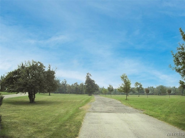 5129 Kraus Ln, Clarence, NY 14031 - photo 8