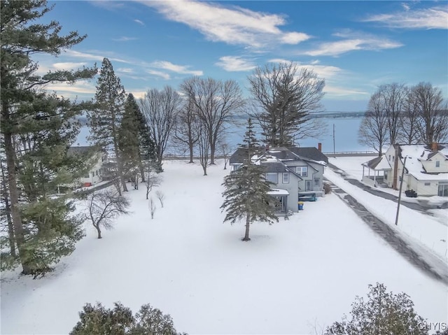 yard layered in snow featuring a garage